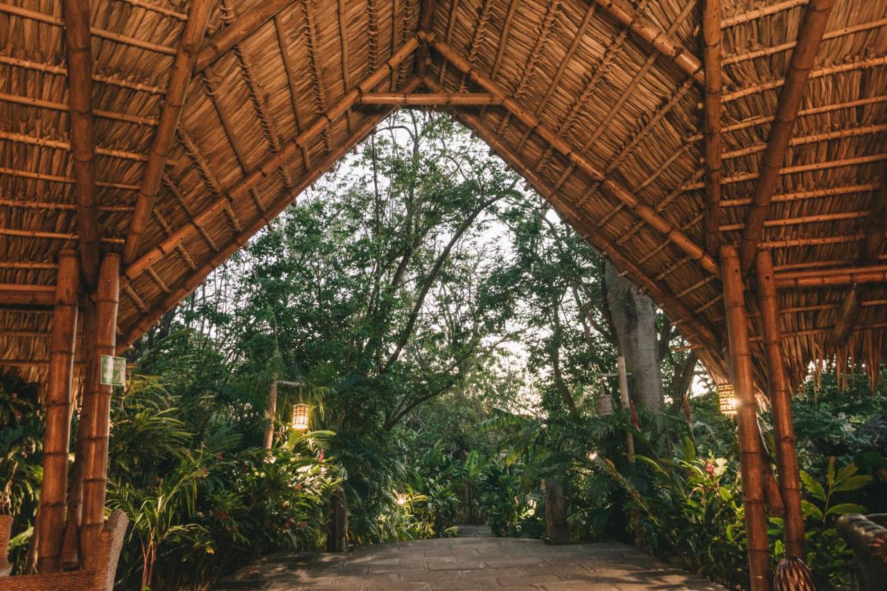 Dreamsea Surf Resort Nicaragua サン・フアン・デル・スル エクステリア 写真
