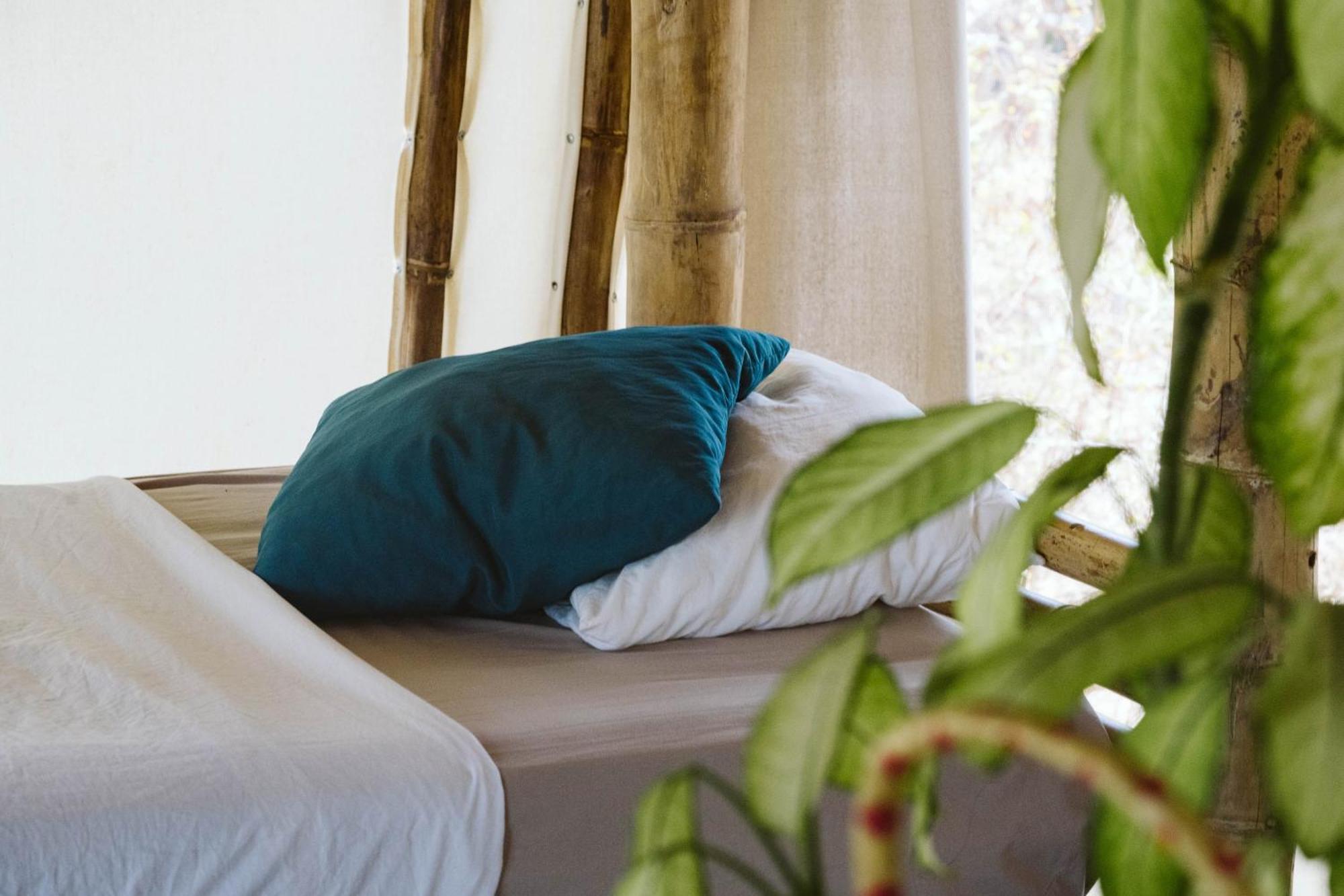 Dreamsea Surf Resort Nicaragua サン・フアン・デル・スル 部屋 写真