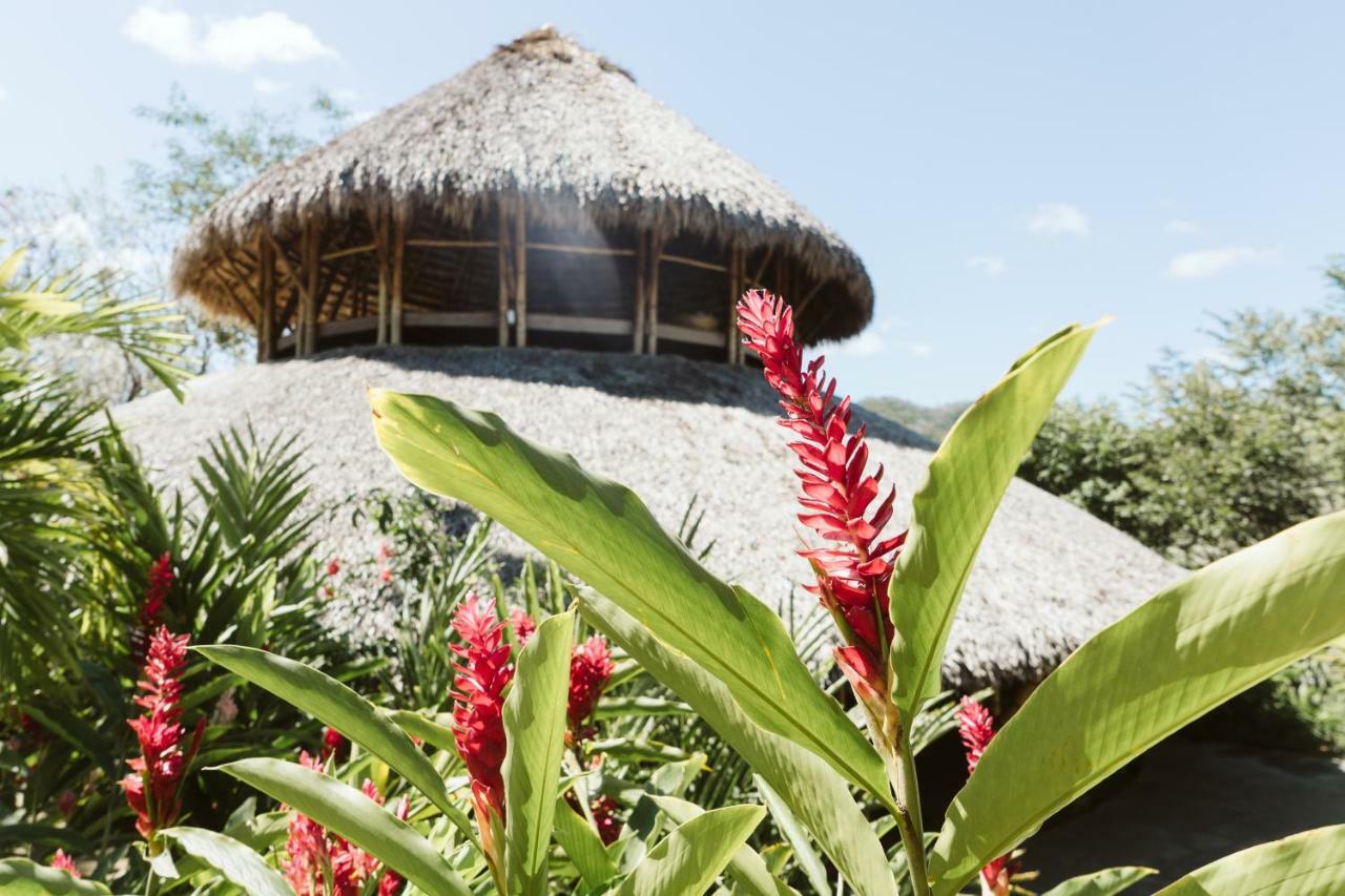 Dreamsea Surf Resort Nicaragua サン・フアン・デル・スル エクステリア 写真